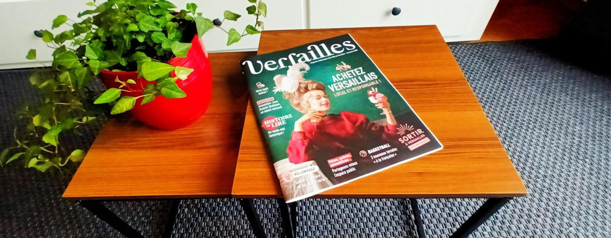 Appart A Versailles, 2 A 4 Pers, Avec Parking Eksteriør bilde